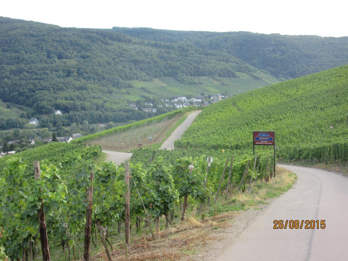 Ferienwohnung "Edeltrud Deluxe Moselblick" Bernkastel-Kues Εξωτερικό φωτογραφία